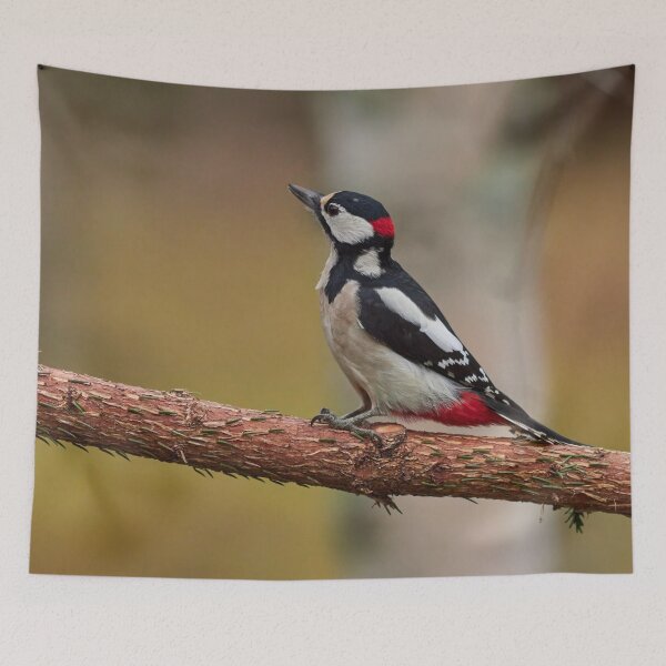 Item preview, Getting Bold. Great spotted woodpecker designed and sold by Jouko Lehto Photography.