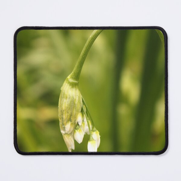 Item preview, Wild Garlic Buds designed and sold by pinkal.
