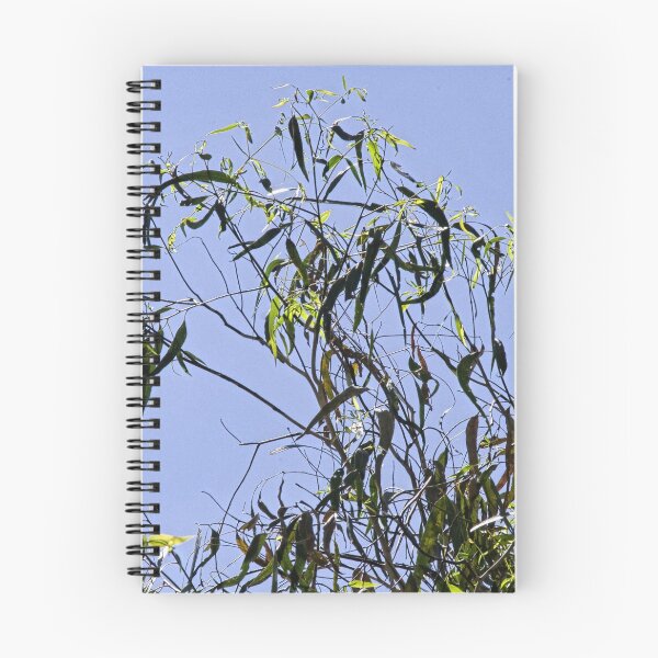 Item preview, New Gum Leaves at Warrandyte Victoria 20180204 2273  designed and sold by Fred Mitchell.