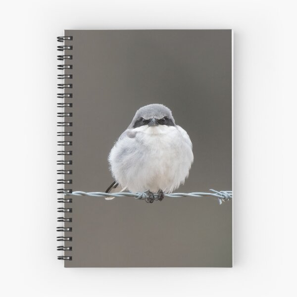 Item preview, Loggerhead Shrike  designed and sold by tracyam.