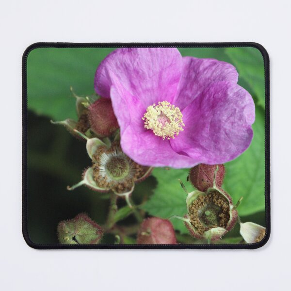 Item preview, Purple-flowered bramble designed and sold by pinkal.