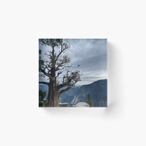 Item preview, Yosemite Falls designed and sold by Nick Fox.