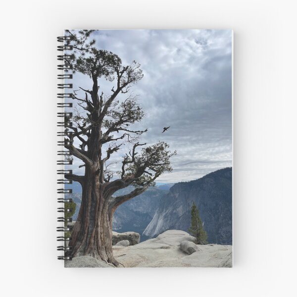 Item preview, Yosemite Falls designed and sold by Nick Fox.