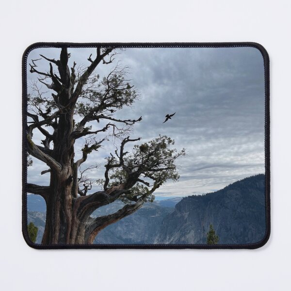 Item preview, Yosemite Falls designed and sold by Nick Fox.