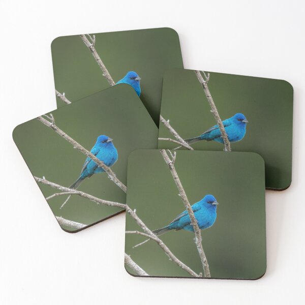Item preview, Indigo Bunting designed and sold by tracyam.
