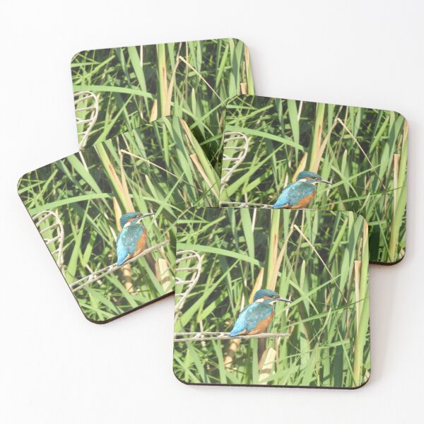 Item preview, Kingfisher perching in front of tall green reeds designed and sold by TwistedClassics.