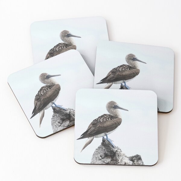 Item preview, Blue Footed Booby designed and sold by acwb.