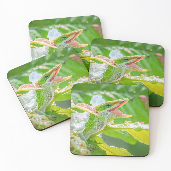 Item preview, Anole verde mudando la piel designed and sold by tracyam.