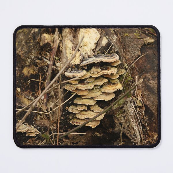 Item preview, Bracket Fungi designed and sold by pinkal.
