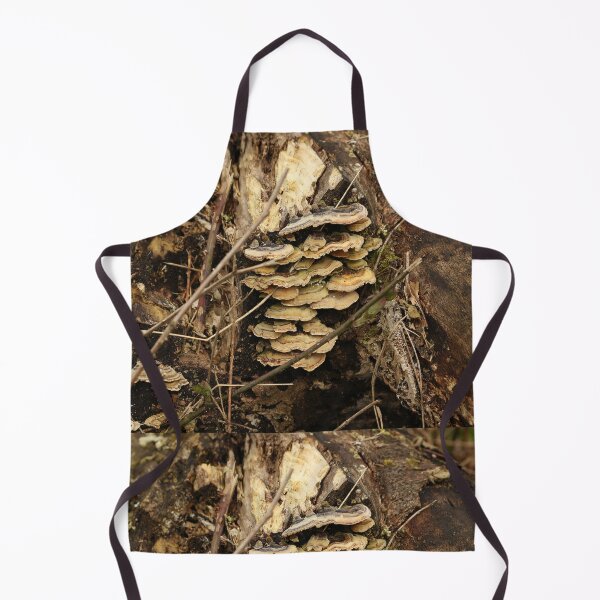 Item preview, Bracket Fungi designed and sold by pinkal.