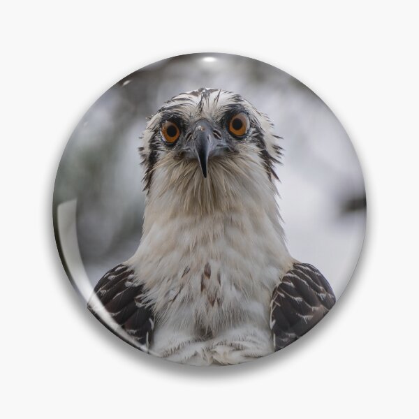 Item preview, Osprey designed and sold by tracyam.