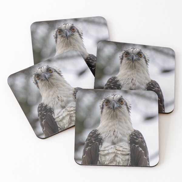 Item preview, Osprey designed and sold by tracyam.