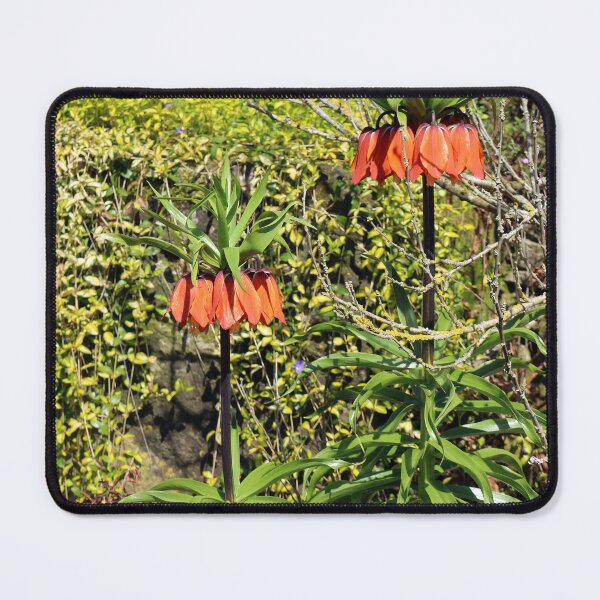 Item preview, Imperial Fritillary designed and sold by pinkal.