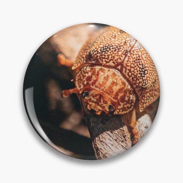 Item preview, Beetle designed and sold by melissaogara.
