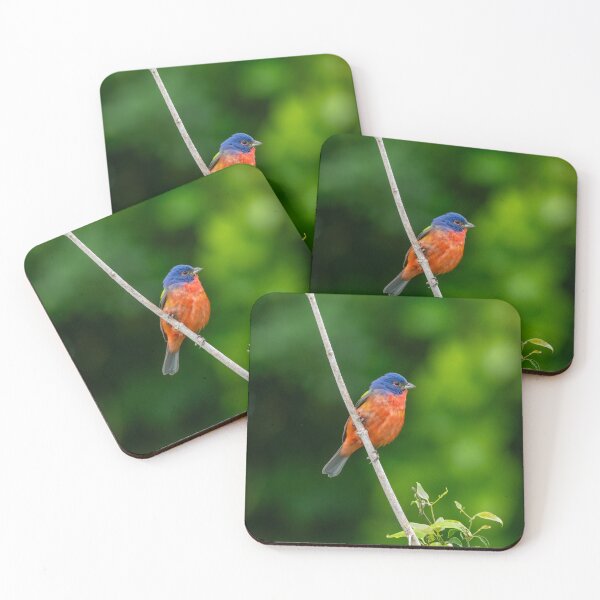 Item preview, Painted Bunting designed and sold by tracyam.