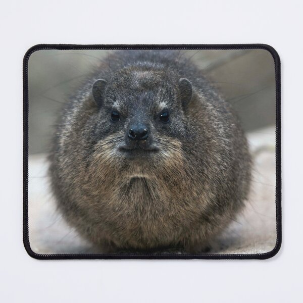 Item preview, Rock Hyrax designed and sold by Paul Spear.