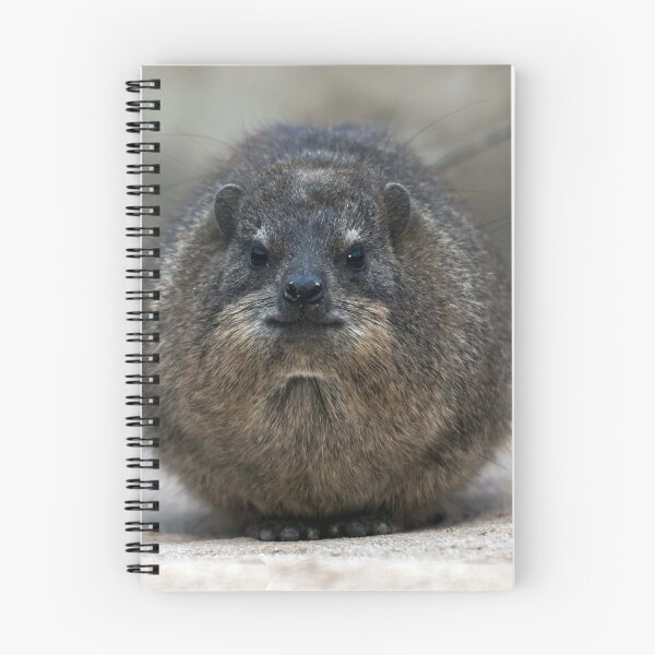 Artikelvorschau, Rock Hyrax entworfen und verkauft von Paul Spear.