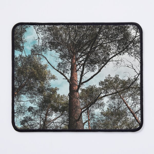 Item preview, Low angle of tree designed and sold by foxpaull.