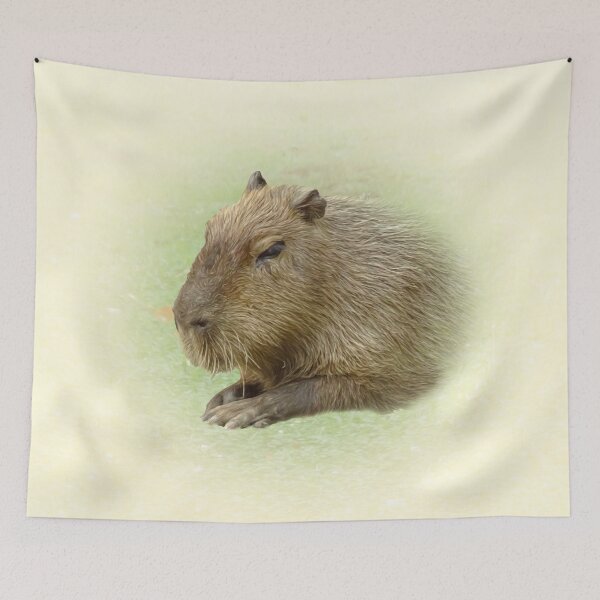 Item preview, Capybara designed and sold by Guardi71.