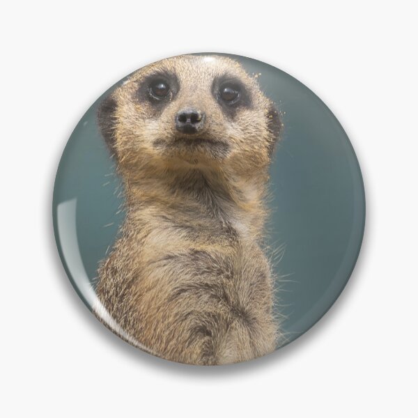 Item preview, Meerkat portrait 1 designed and sold by HelkoryoArt.