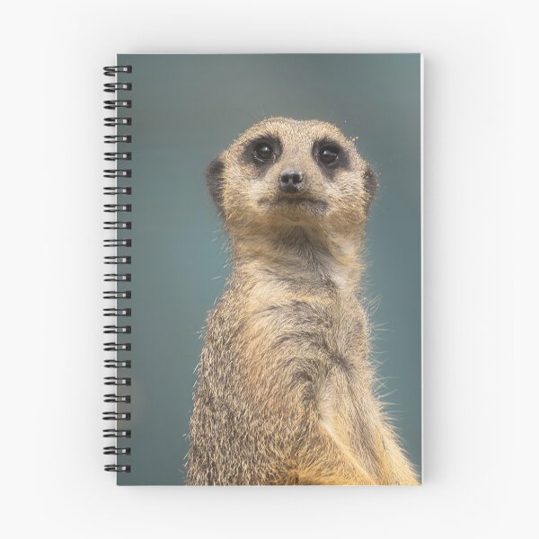 Item preview, Meerkat portrait 1 designed and sold by HelkoryoArt.