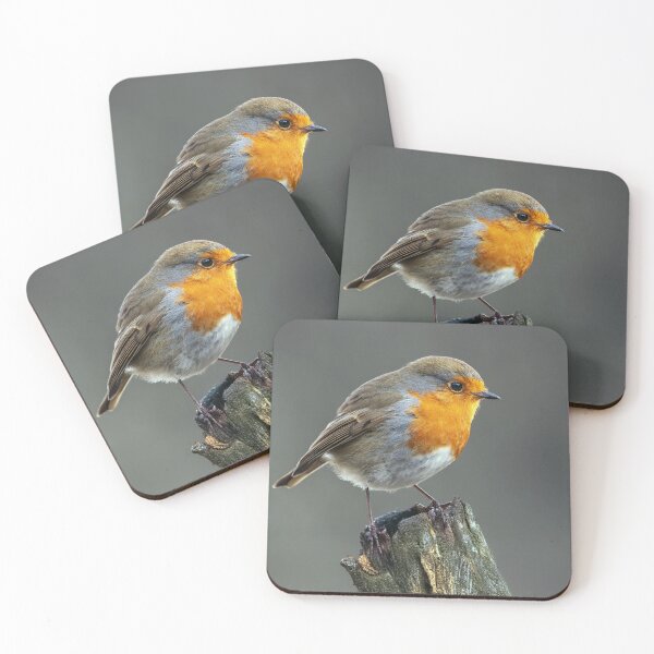 Item preview, Robin Red Breast designed and sold by Tom McPherson Photography.