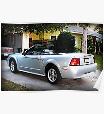 Silver Mustang Poster