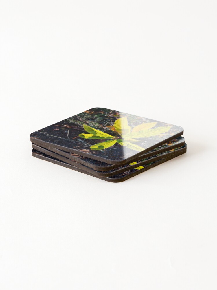 Thumbnail 4 of 5, Coasters (Set of 4), Early Riser designed and sold by Bassbro.