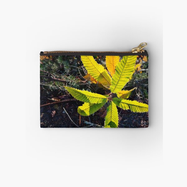 Item preview, Early Riser designed and sold by Steve Walser.