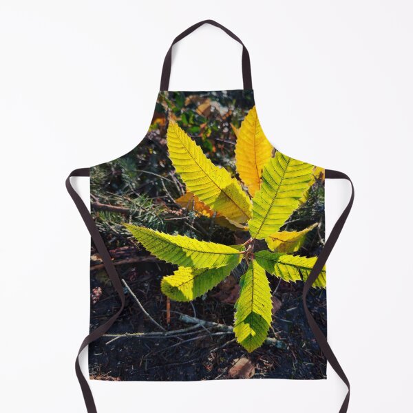 Item preview, Early Riser designed and sold by Steve Walser.