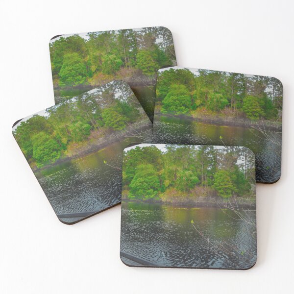 Item preview, Lettuce Lake Park offers a stunning view of the Hillsborough River, framed beautifully through the park's wooden deck designed and sold by EyezWatchin.