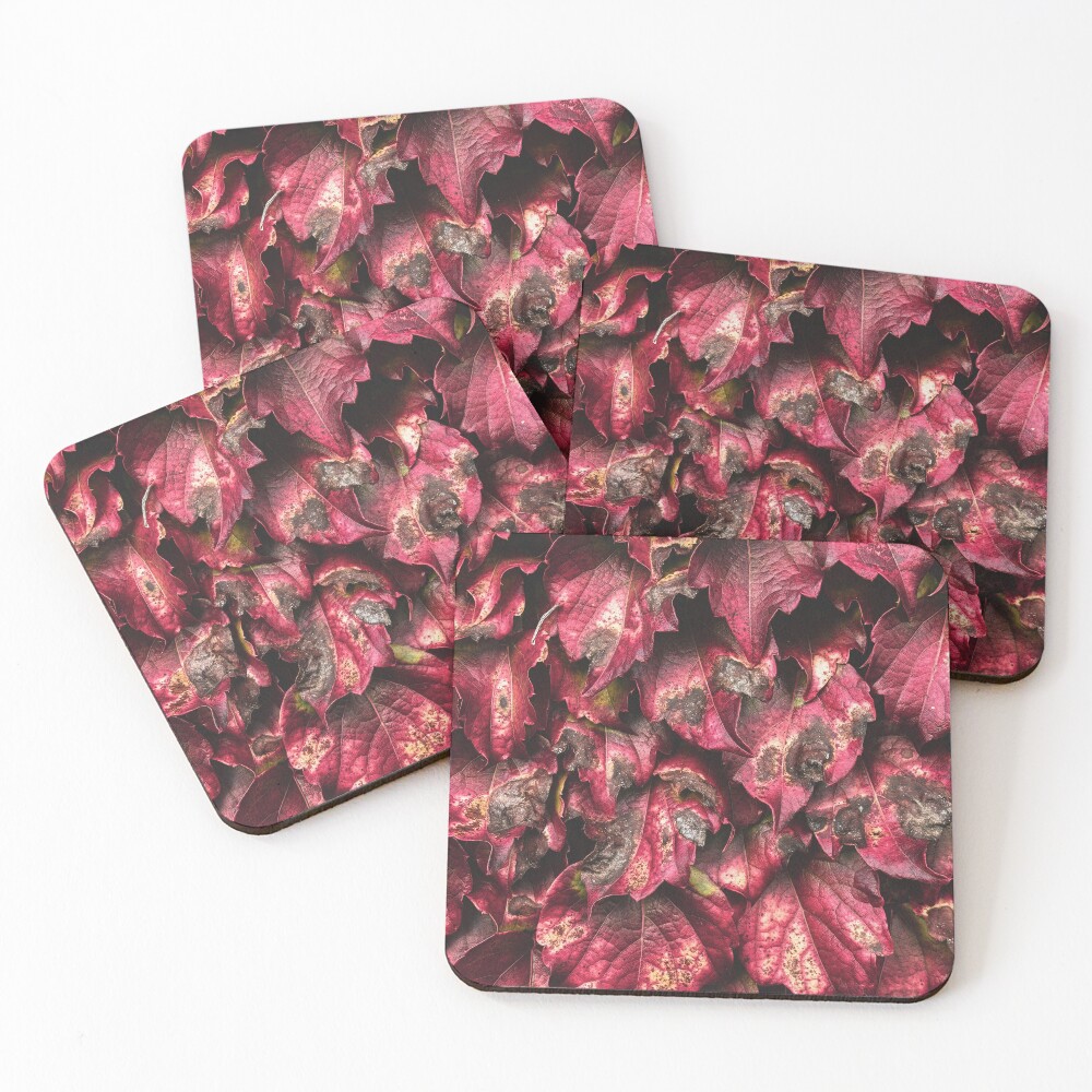Item preview, Coasters (Set of 4) designed and sold by foxpaull.