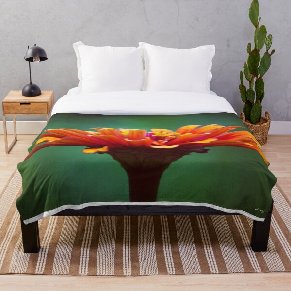 Item preview, naranja designed and sold by DonLloyd Art & Photography.