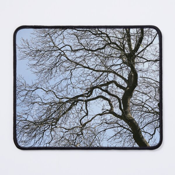 Item preview, Branches and Blue Sky designed and sold by pinkal.