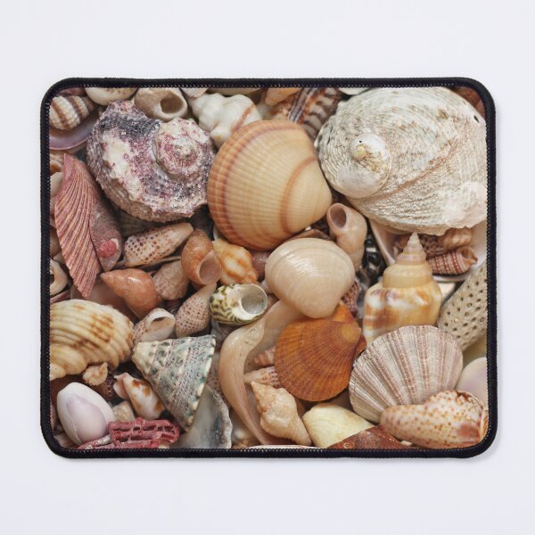 Item preview, Seashells designed and sold by pinkal.