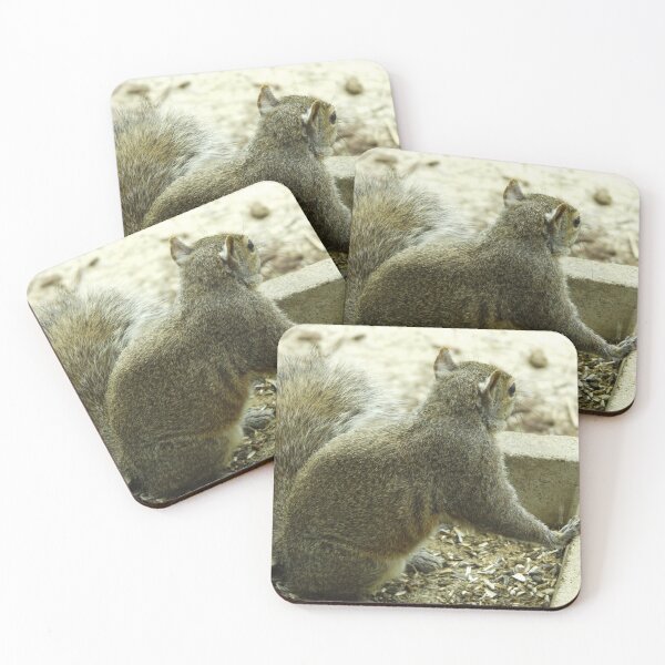 Item preview, Grey squirrel  designed and sold by McFleur's Lens.