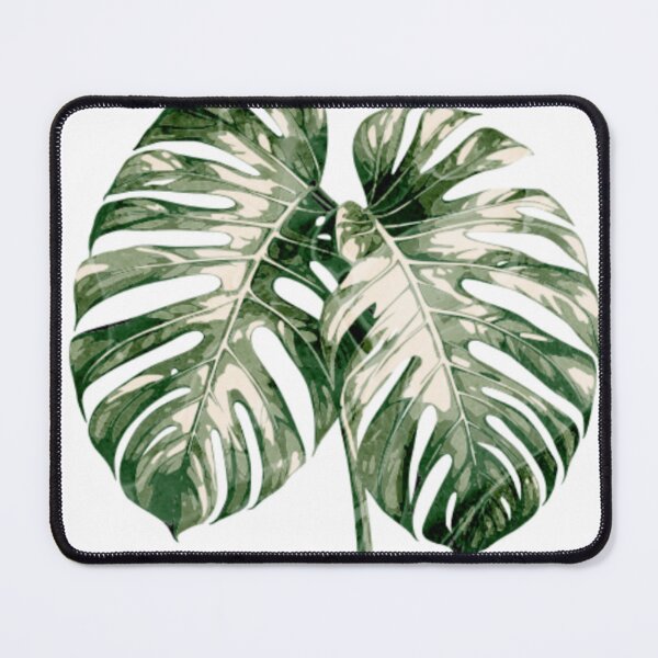 Item preview, Minimalistic Monstera Albo  designed and sold by artbykyleigh :).