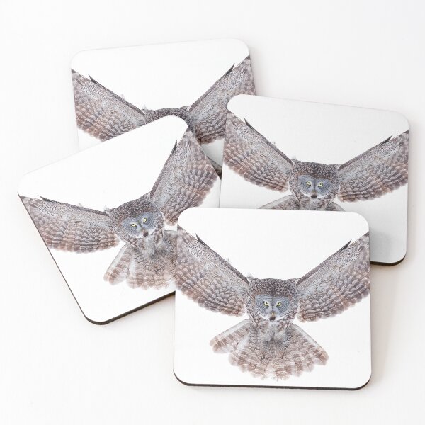 Item preview, Power - Great Grey Owl designed and sold by James Cumming.