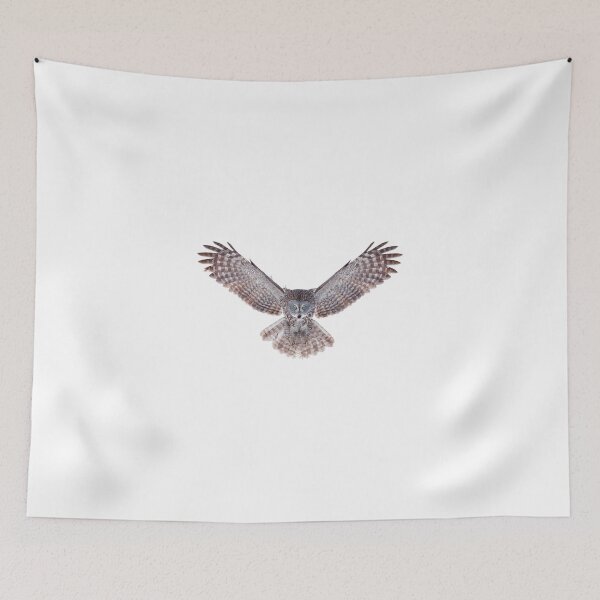 Item preview, Power - Great Grey Owl designed and sold by James Cumming.
