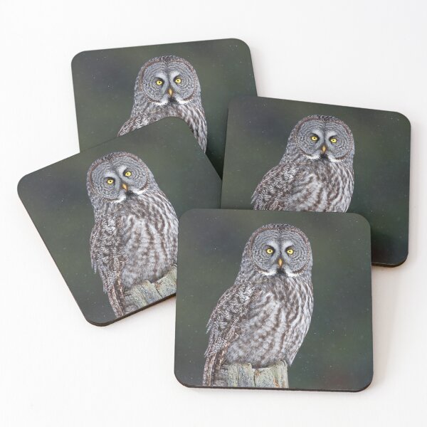 Item preview, Great Grey Owl on Post designed and sold by James Cumming.