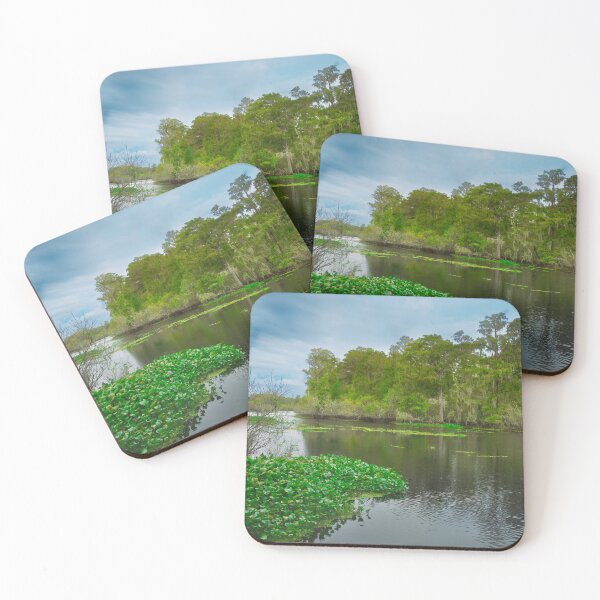 Item preview, Lettuce Lake Park offers a stunning view of the Hillsborough River designed and sold by EyezWatchin.