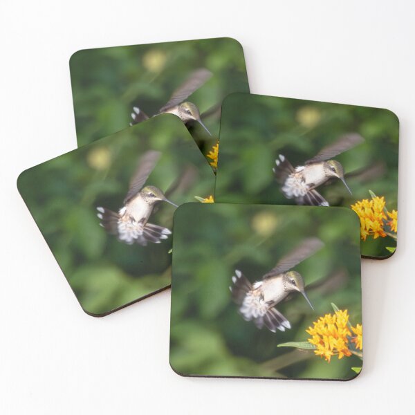 Item preview, The Symbiotic Relationship Between Ruby-Throated Hummingbirds and Butterfly Weed designed and sold by wenzler.