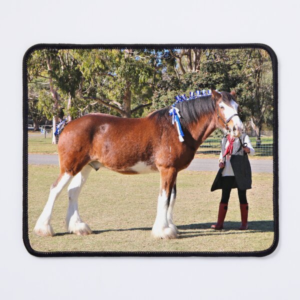 Item preview, Clydesdale horse in the led class designed and sold by FranWest.