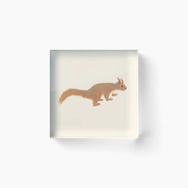 Item preview, Maxwell Squirrel designed and sold by XWarren.