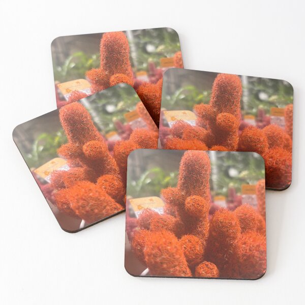 Item preview, Dusk Cactus designed and sold by Cmgutz1775.