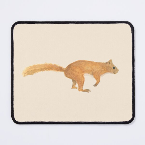 Item preview, Baldwin Squirrel designed and sold by XWarren.