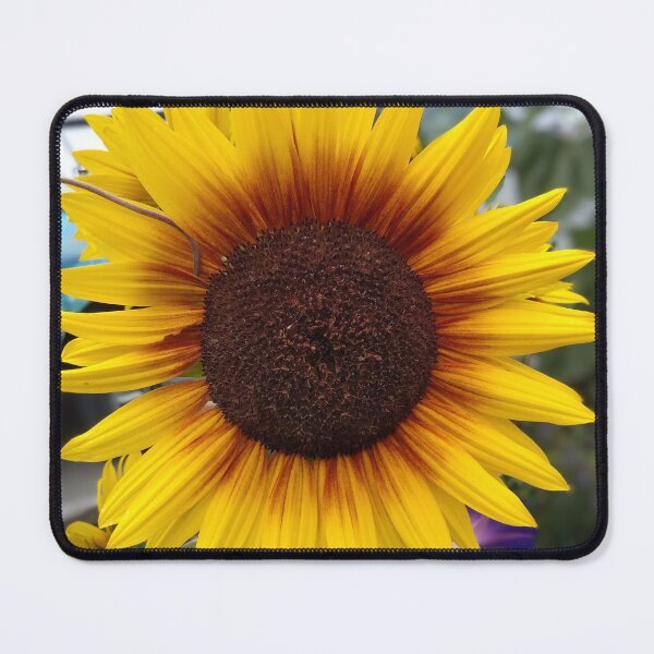 Item preview, Hello Sunshine! designed and sold by Sweetwater27.