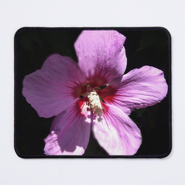 Item preview, Glorious designed and sold by heatherfriedman.