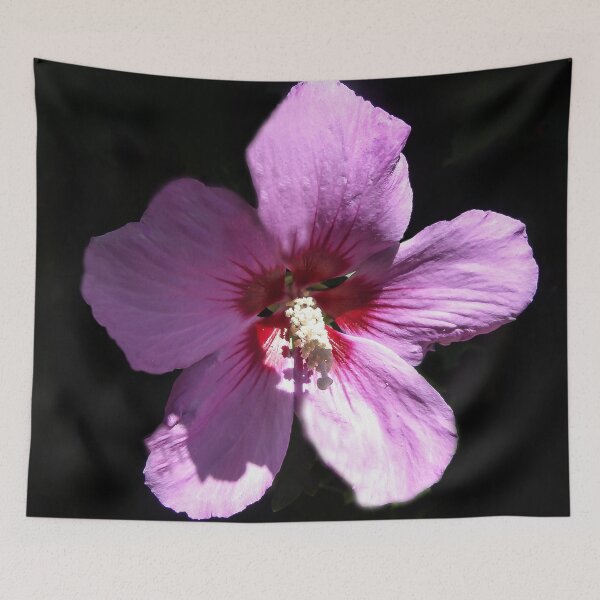Item preview, Glorious designed and sold by heatherfriedman.