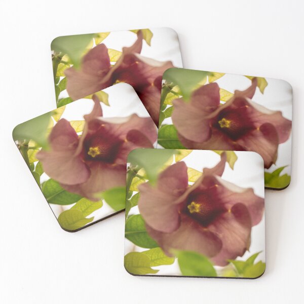 Item preview, Purple Allamanda designed and sold by Julie Navitka.